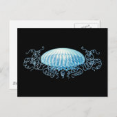  Haeckel Jellyfish Briefkaart (Voorkant / Achterkant)