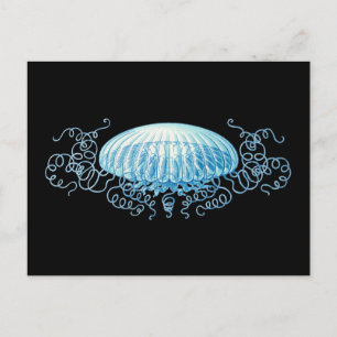  Haeckel Jellyfish Briefkaart