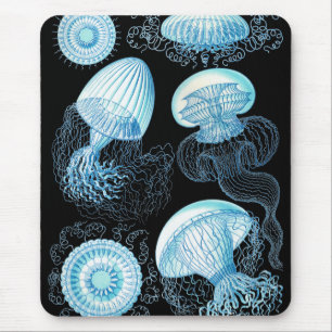 Haeckel Jellyfish Muismat