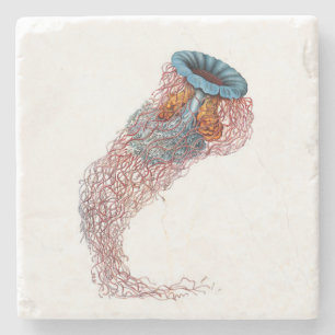 Haeckel Jellyfish Onderzetter