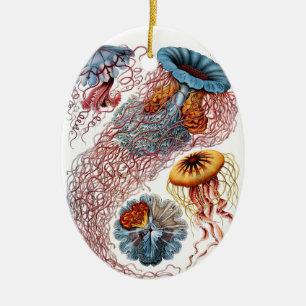 Haeckel Jellyfish Ornament