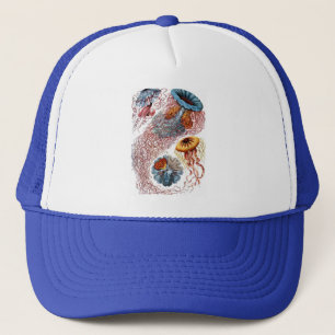 Haeckel Jellyfish Trucker Pet
