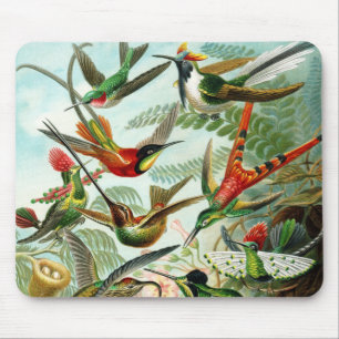 Haeckel kolibries muismat