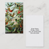 Haeckel kolibries visitekaartje (Voorkant / Achterkant)