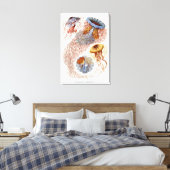Haeckel kwal, Discomedusa Canvas Afdruk (Insitu (Slaapkamer))