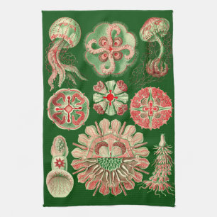Haeckel Marine Kwallen Illustratie Rood & Groen Theedoek