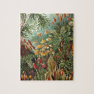 Haeckel Moss Grass Mushroom Painting Legpuzzel