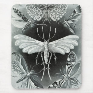 Haeckel Moths Muismat
