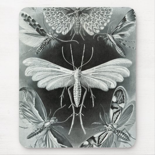 Haeckel Moths Muismat (Voorkant)