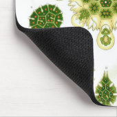Haeckel Muismat (Hoek)