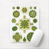 Haeckel Muismat (Met muis)