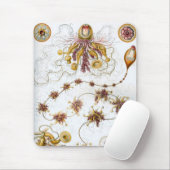 Haeckel Muismat (Met muis)