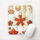 Haeckel Muismat (Met muis)