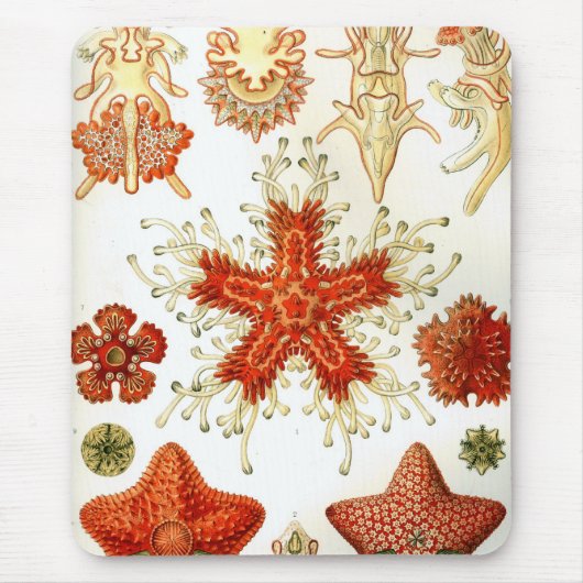 Haeckel Muismat (Voorkant)