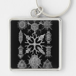 Haeckel Negative Sleutelhanger