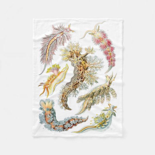 Haeckel Nudibranchia Fleece Blanket (Voorkant)