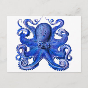 Haeckel Octopus Blue Briefkaart