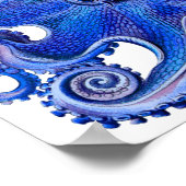 Haeckel Octopus Blue Poster (Hoek)