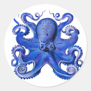Haeckel Octopus Blue Ronde Sticker