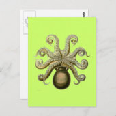 Haeckel Octopus Briefkaart (Voorkant / Achterkant)