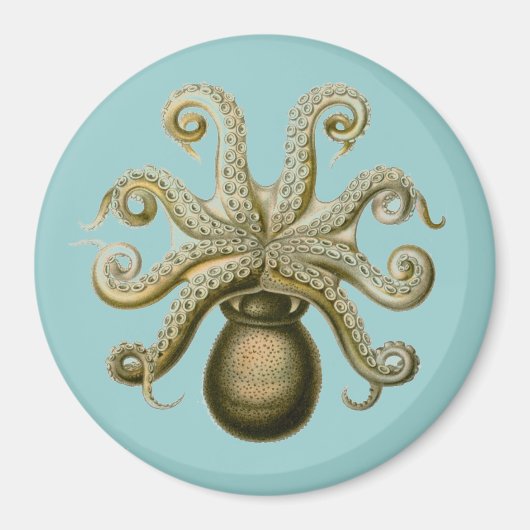 Haeckel Octopus Magneet (Voorkant)