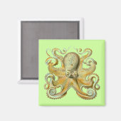 Haeckel Octopus Magneet (Voorkant / Achterkant)