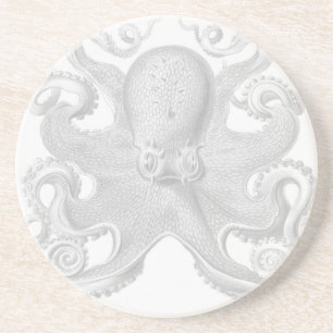 Haeckel Octopus Onderzetter