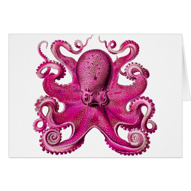 Haeckel Octopus Pink (Voorkant Horizontaal)