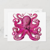 Haeckel Octopus Pink Briefkaart (Voorkant / Achterkant)