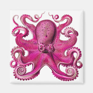 Haeckel Octopus Pink Magneet
