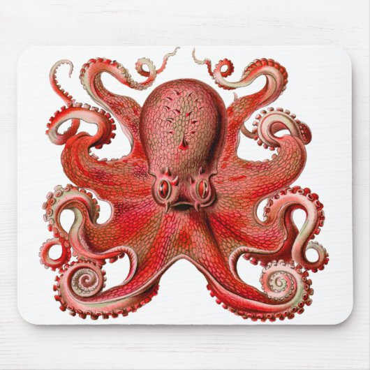 Haeckel Octopus Red Muismat (Voorkant)