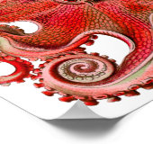 Haeckel Octopus Red Poster (Hoek)