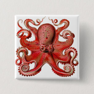 Haeckel Octopus Red Vierkante Button 5,1 Cm