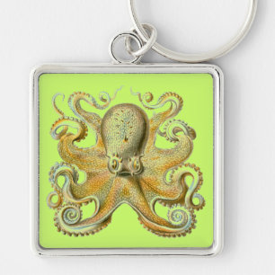 Haeckel Octopus Sleutelhanger