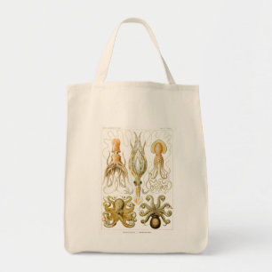 Haeckel Octopus Tote Bag