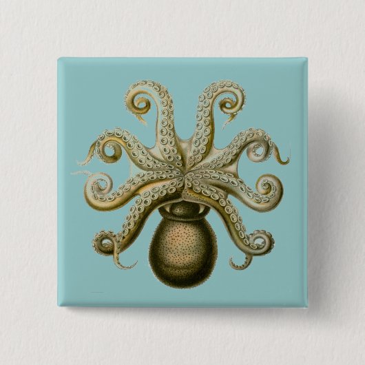 Haeckel Octopus Vierkante Button 5,1 Cm (Voorkant)