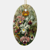 Haeckel Orchids Keramisch Ornament (Rechts)