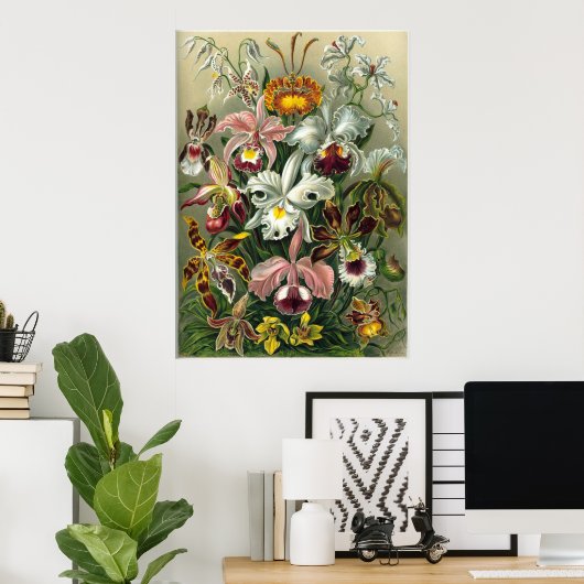 Haeckel Orchids Print (Thuiskantoor)