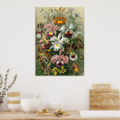 Haeckel Orchids Print (Keuken)