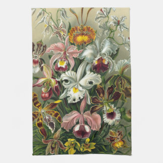 Haeckel Orchids Theedoek