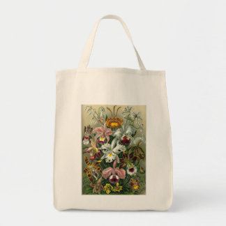 Haeckel Orchids Tote Bag