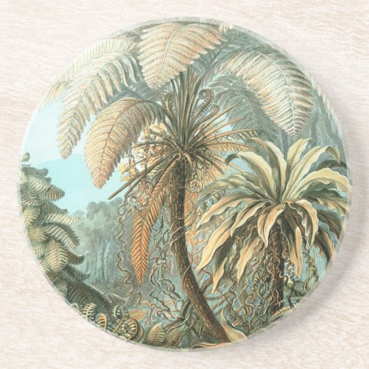 Haeckel Palm Trees Zandsteen Onderzetter (Voorkant)