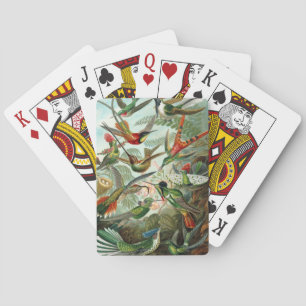Haeckel Pokerkaarten