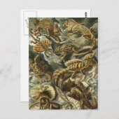 Haeckel Reptiles Briefkaart (Voorkant / Achterkant)