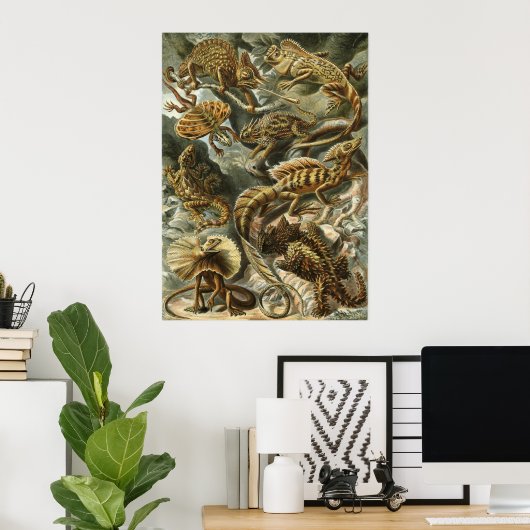 Haeckel Reptiles Poster (Thuiskantoor)