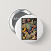 Haeckel Ronde Button 5,7 Cm (Voorkant /achterkant)