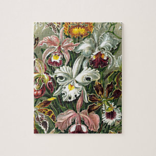 Haeckel Roze Wit Geel Orchidee Bloemen Schilderij Legpuzzel
