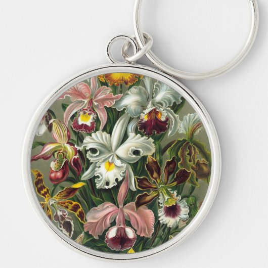 Haeckel Sleutelhanger (Voorkant)