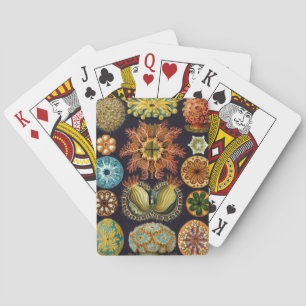 Haeckel Speelkaarten