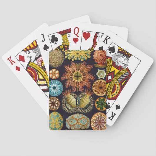 Haeckel Speelkaarten (Achterkant)